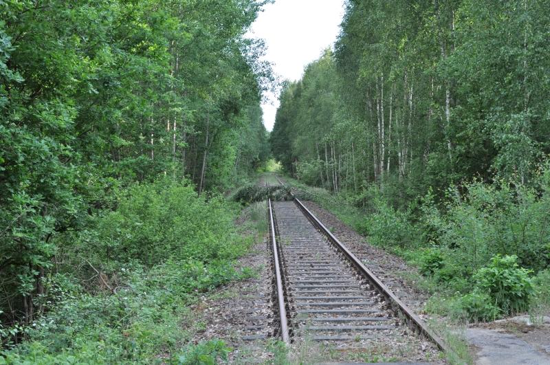 Spreewald193.JPG